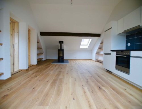 Vionnaz – Rénovation – 7 appartements